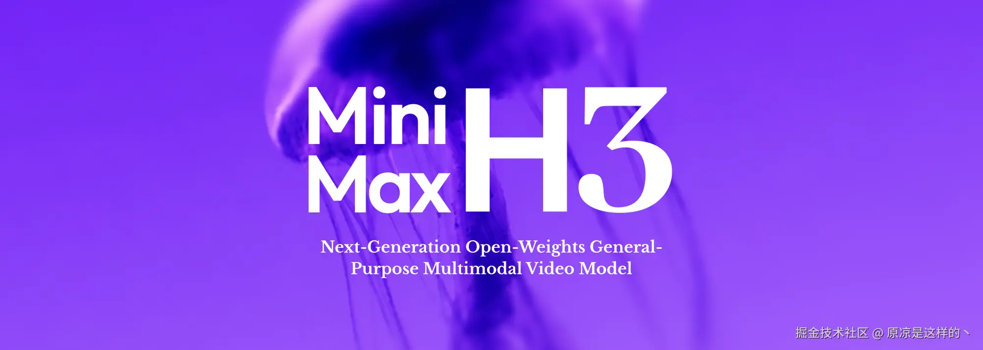 minimax-h3.png