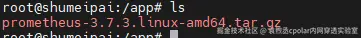 image-20251111151123445