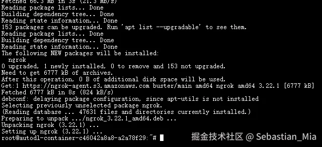 Ngrok安装完成.png