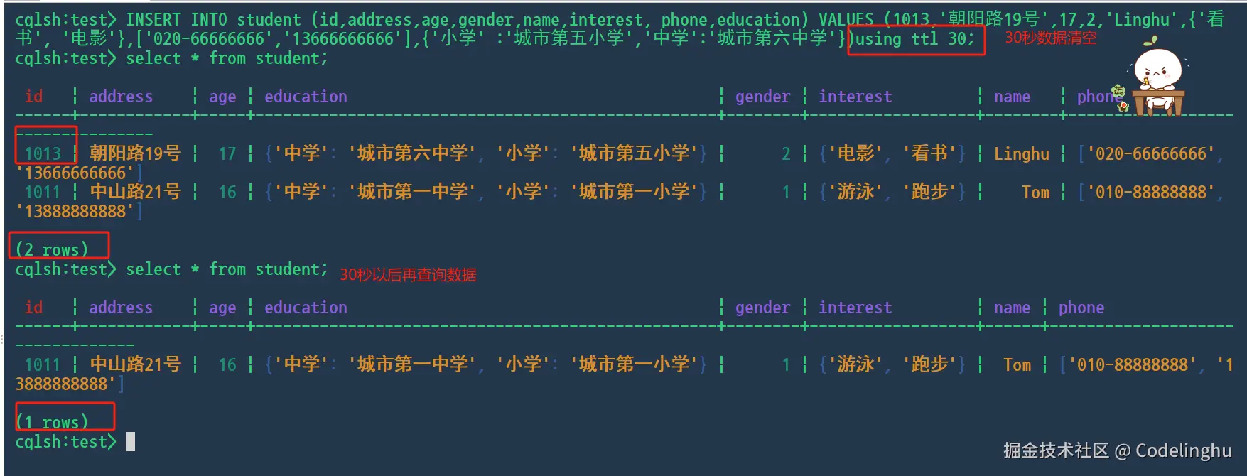 image-20240709112426108