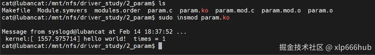3. 第一次运行.png