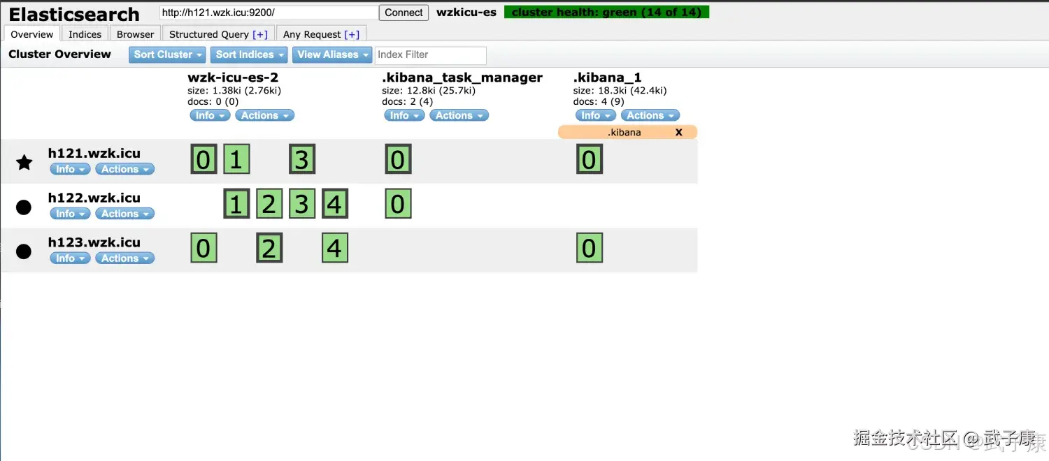 Elasticsearch 查看索引