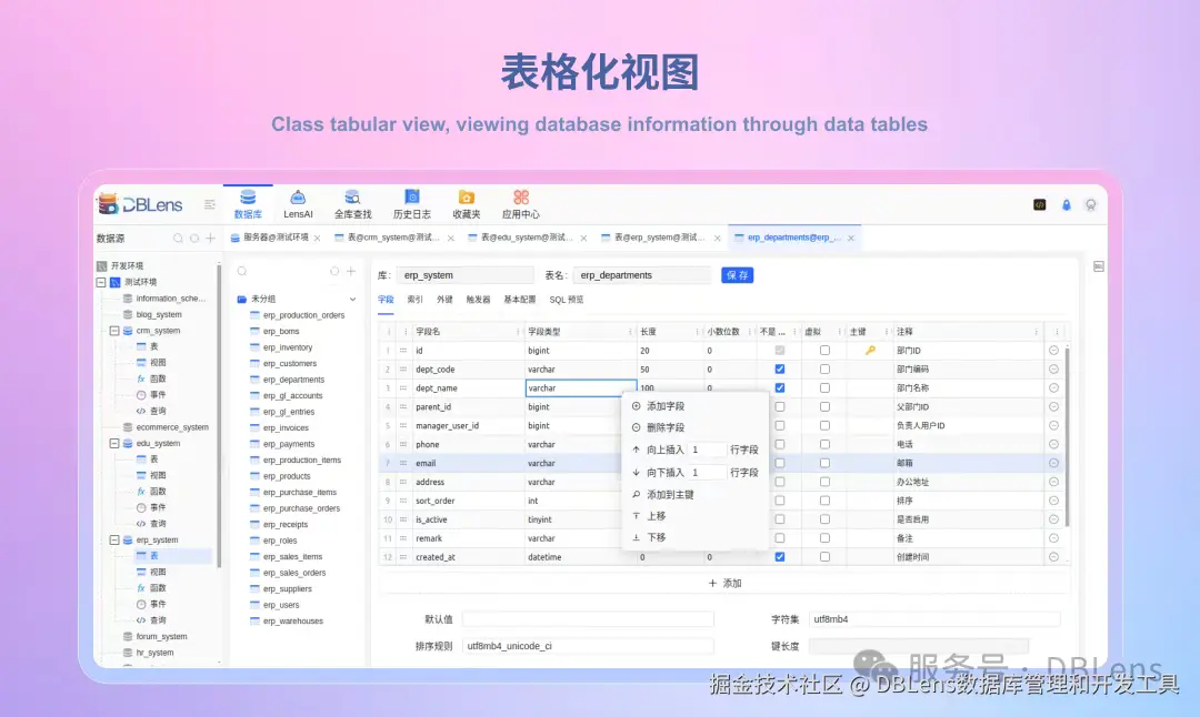 dblens 表格化设计