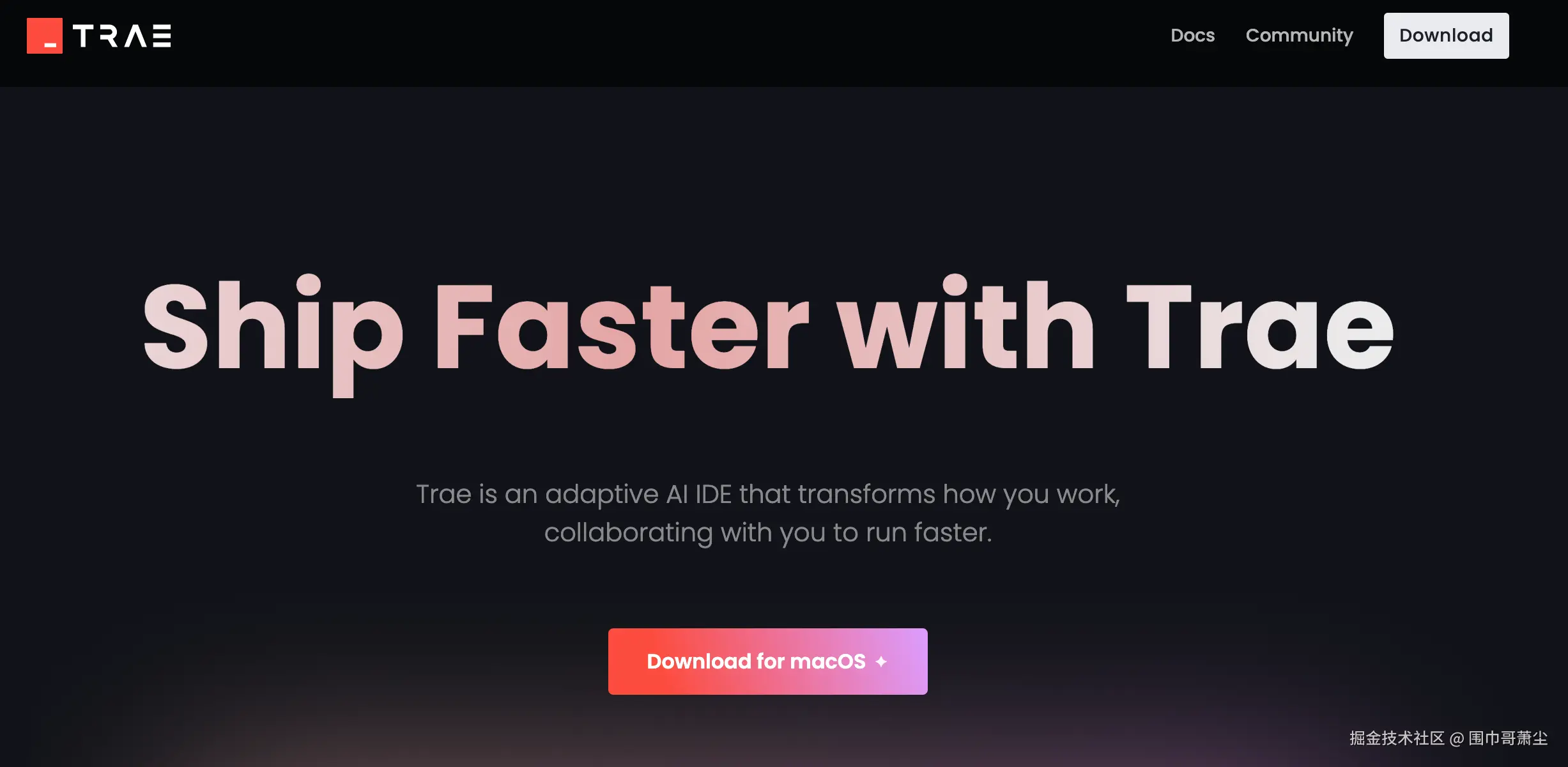 Trae AI