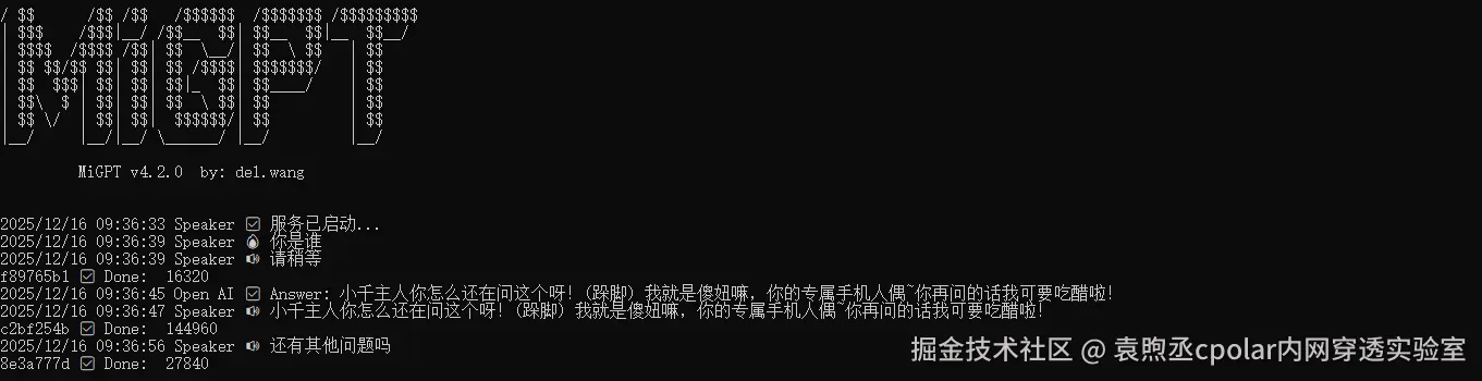 image-20251216173706332