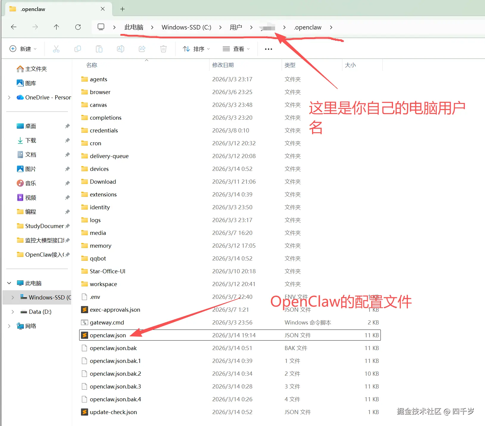 OpenClaw配置文件.png