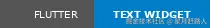 Flutter Text Widget