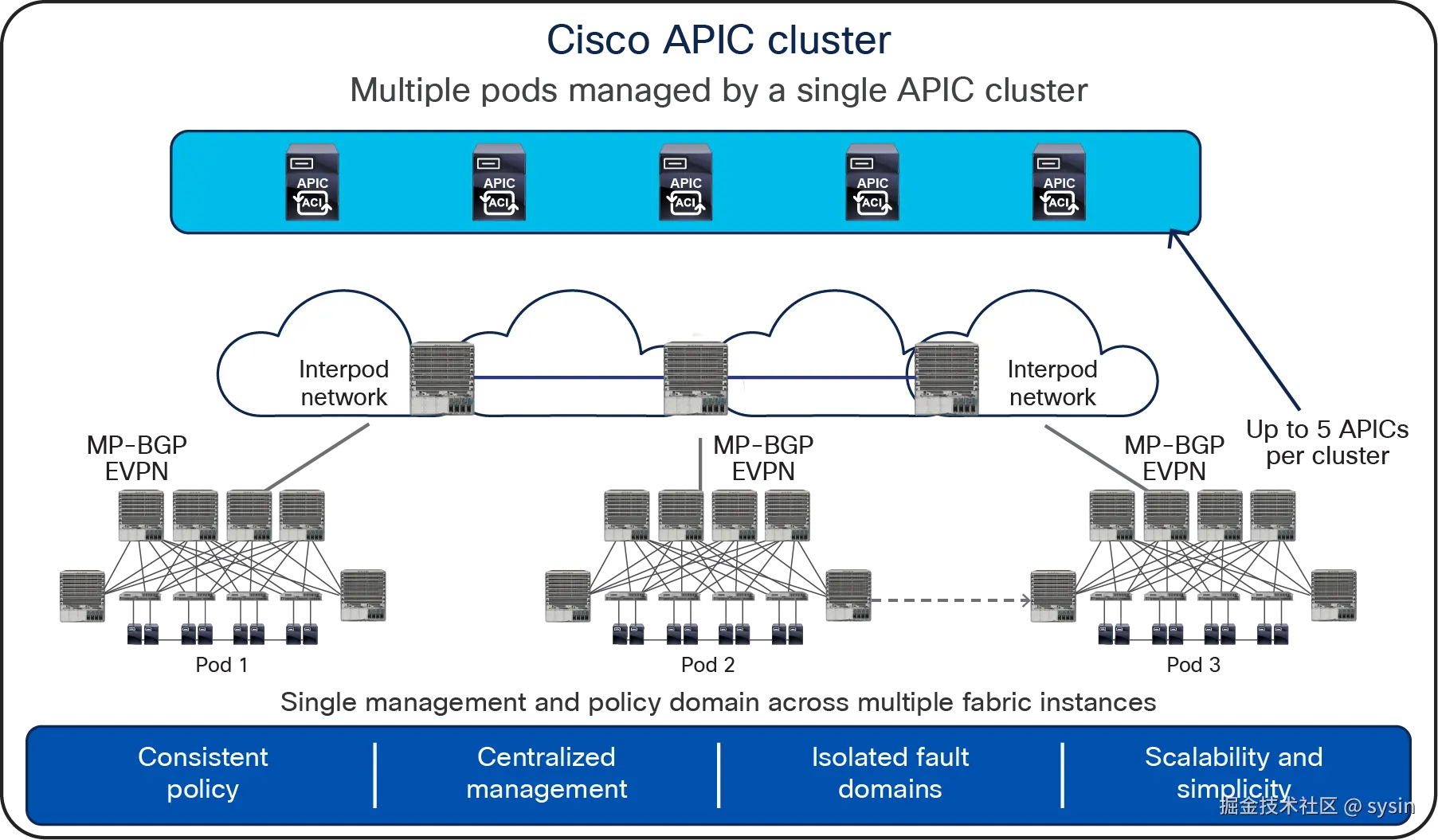 Cisco APIC cluster