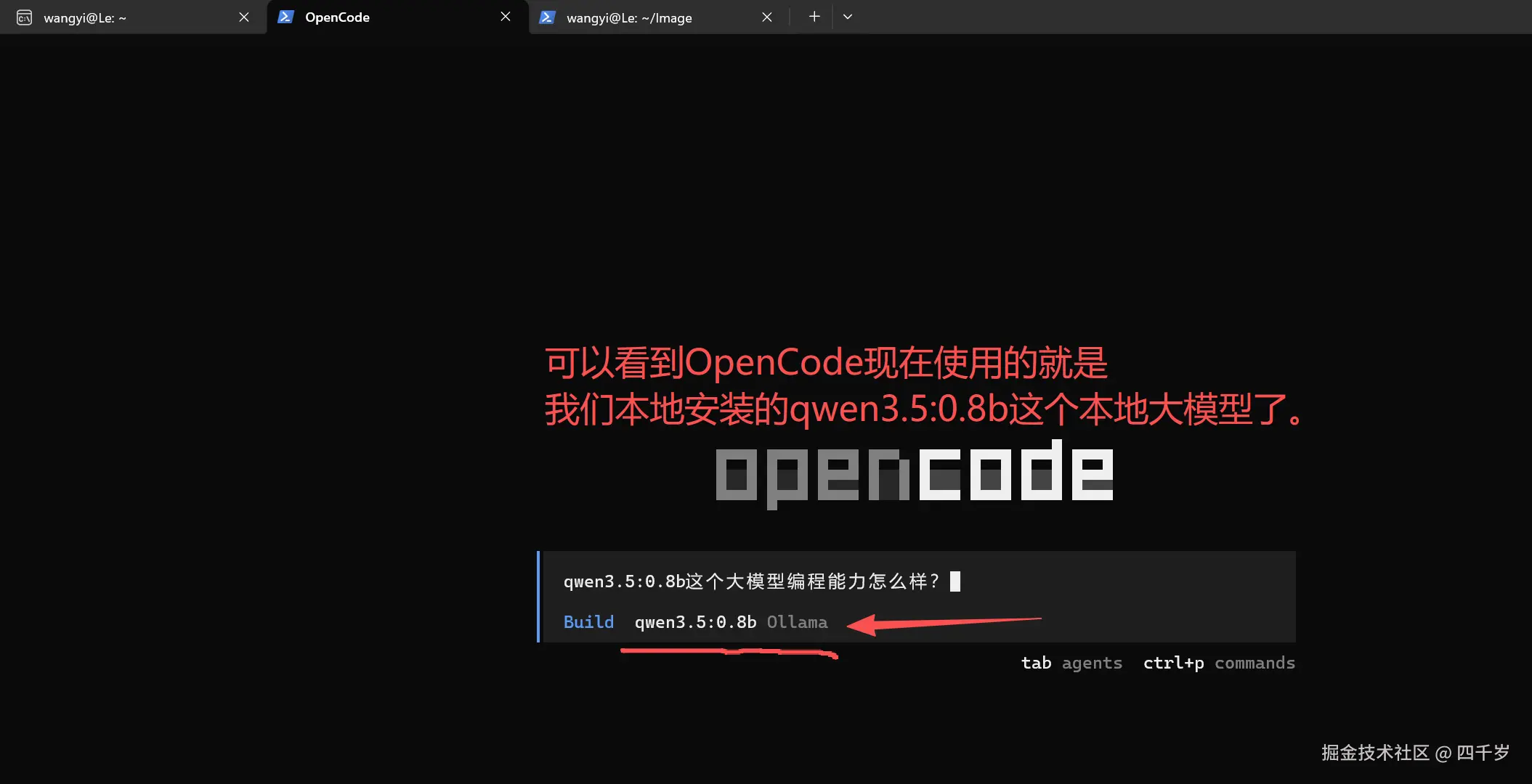 OpenCode使用本地大模型
