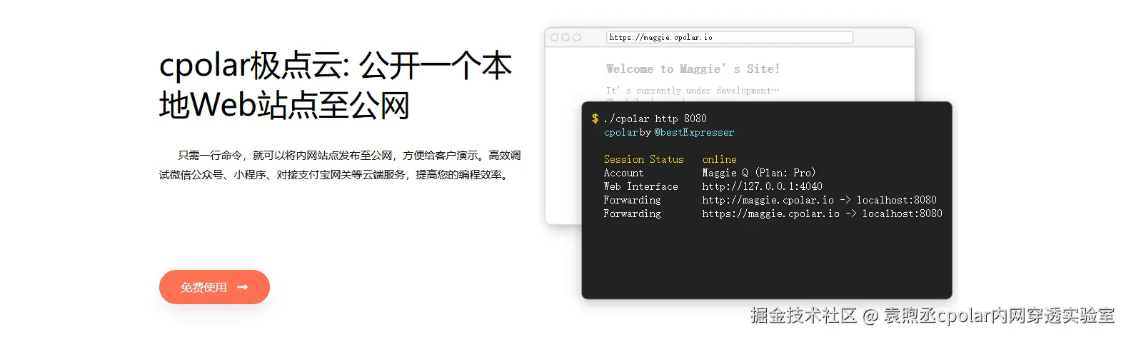 image-20250910114418412