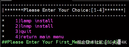 image-20250525202552517