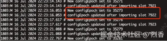 1725817028105.jpg